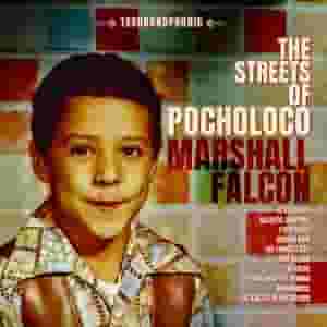 The Streets of Pocholoco