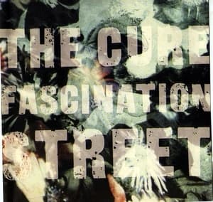 Fascination Street