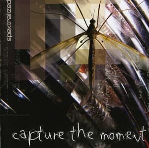 Capture The Moment