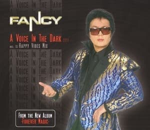 A Voice In The Dark 2008