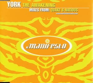 The Awakening
