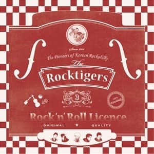 Rock 'n' Roll Licence