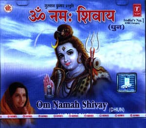 Om Namah Shivay Dhun CD