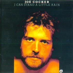 I Can Stand A Little Rain