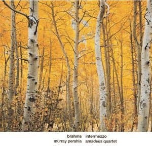 Intermezzo [piano Quartet Op.25 And Other Piano Works]