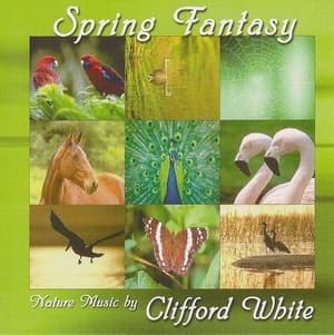 Spring Fantasy