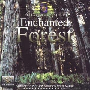 Enchanted Forest