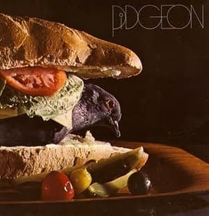 Pidgeon
