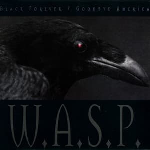 Black Forever / Goodbye America