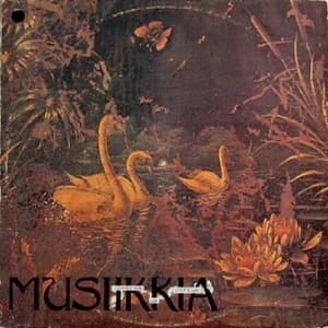 Musiikkia