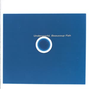 Beaucoup Fish