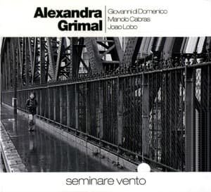 Seminare Vento