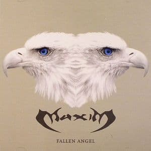 Fallen Angel
