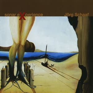 Sonar Experience