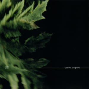 Evergreens