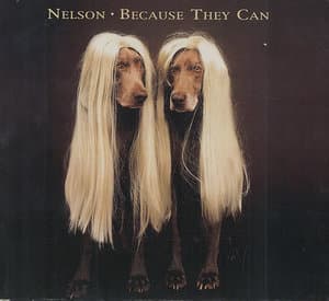 Because They Can (Japan Version)