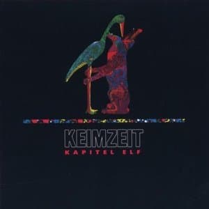Kapitel Elf