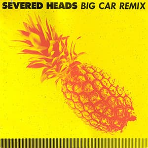 Big Car Remix (CDS)