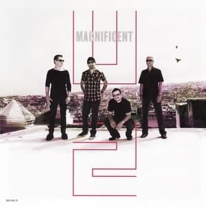 Magnificent