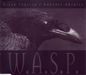 Black Forever / Goodbye America (CDS) (CD1)