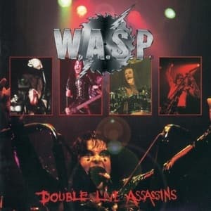 Double Live Assassins