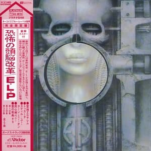 Brain Salad Surgery