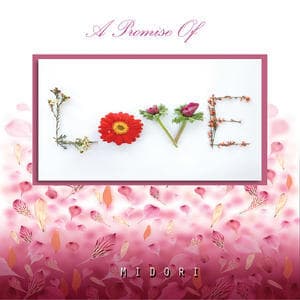 A Promise Of Love