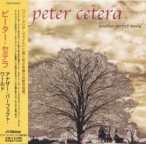 Another Perfect World