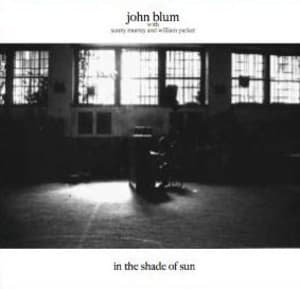 In The Shade Of Sun  2009