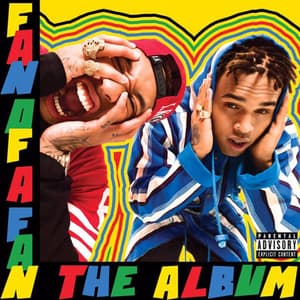 Fan Of A Fan The Album
