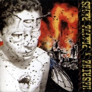Plague Rages / Mesrine