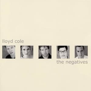 The Negatives
