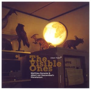 The Visible Ones