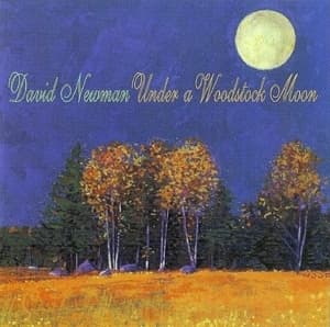 Under A Woodstock Moon