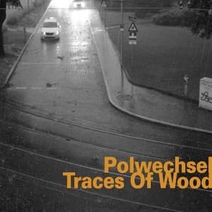 Traces Of Wood