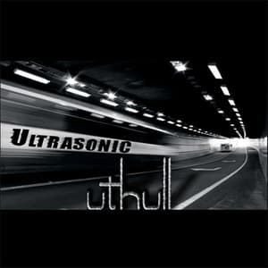 Ultrasonic