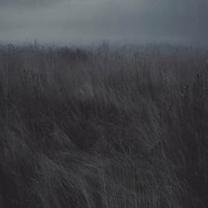 Burning Decay