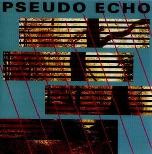 Pseudo Echo (autumnal Park)