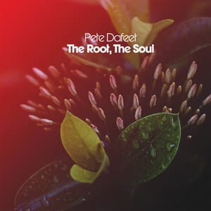 The Root, The Soul