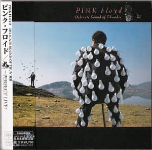 Delicate Sound Of Thunder (Japan) (2CD)