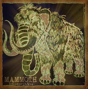 Polymorphism 