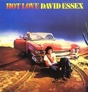 Hot Love