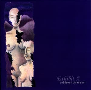 A Different Dimension (Remastered 2009)
