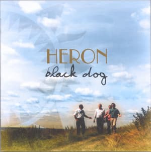 Black Dog