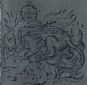 Svarte Skoger