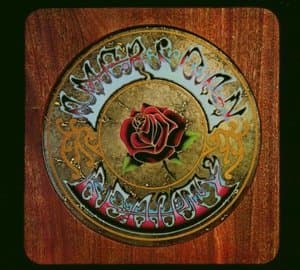 American Beauty