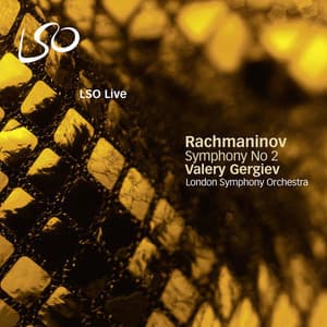 Symphony No. 2 (Valery Gergiev)