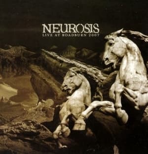Live at Roadburn 2007