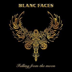 Falling From The Moon