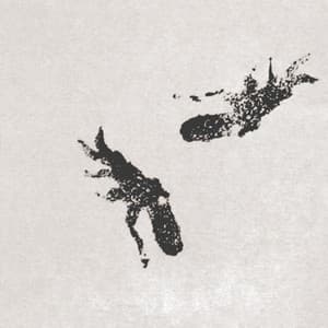 Octopus / Views Ep